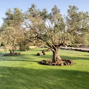 Su Sattisceddu Alloggio per agriturismo Uras